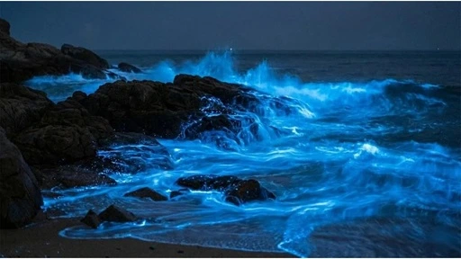 馬祖民宿住這邊